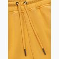Hose Herren Pitbull Lancaster 2 Track Pants washed yellow 8