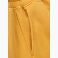 Hose Herren Pitbull Lancaster 2 Track Pants washed yellow 10