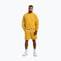 Shorts Herren Pitbull Lancaster 2 washed yellow 2