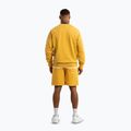 Shorts Herren Pitbull Lancaster 2 washed yellow 4