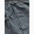 Herren Pitbull Balfour Feld grau Badeshorts 7