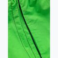 Pitbull Crownhill Herren Badeshorts fluo grün 6