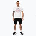 Pitbull San Diego Herren-T-Shirt Ins. weiß/blau 2