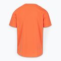 Herren Pitbull San Diego Ins. fluo orange T-shirt 5