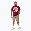 Herren Pitbull Logo Palmen T-Shirt burgunderrot 2