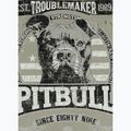 Pitbull Troublemarker staubigen Salbei Männer-T-Shirt 5