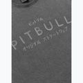 Pitbull Mt. Fuji Herren-T-Shirt gewaschen grau 4