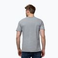 Pitbull Herren Open Beach T-shirt grau 3