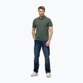 Herren Pitbull Washed Polo Shirt salbeigrün 2