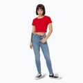 Pitbull Cropped rotes Damen-T-Shirt 2