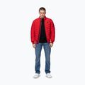 Herrenjacke Pitbull Naylor Padded red 2