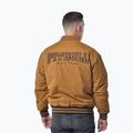 Herrenjacke Pitbull Radford Baseball honey yellow 3