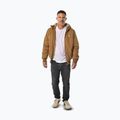 Herren-Winterjacke Pitbull Elkwood 3 Sherpa Hooded honey yellow 2