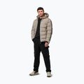 Herren Winterjacke Pitbull Airway 4 Padded Hooded pale sand 2