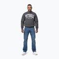 Herren-Sweatshirt Pitbull Norton Crewneck graphite 2