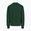 Herren-Sweatshirt Pitbull Norton Crewneck green 5