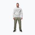 Herren Sweatshirt Pitbull So Cal Crewneck grey/melange 2