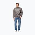 Herren-Sweatshirt Pitbull So Cal Crewneck taupe 2