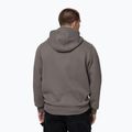 Herren-Hoodie Pitbull So Cal Hooded taupe 3