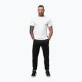 Herren Jogginghose Pitbull Small Logo HD Track black 2