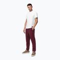 Herrenhose Pitbull Hilltop Track Hatton burgundy 2