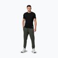 Herren-Trainingshose Pitbull Sampson Track Pants old green 2