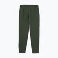 Herren-Trainingshose Pitbull Sampson Track Pants old green 5