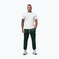 Herren-Jogginghose Pitbull Trackpants Tape Logo Terry Group bottle green 2