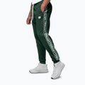 Herren-Jogginghose Pitbull Trackpants Tape Logo Terry Group bottle green 5