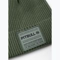 Wintermütze Pitbull Beanie Dock grassy green 2