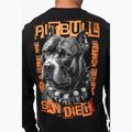 Herren-Sweatshirt Pitbull Crewneck Blacky black 4