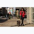 Damenjacke Pitbull Angela San Diego Hooded Varsity fluo/red 17