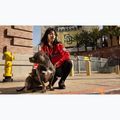 Damenjacke Pitbull Angela San Diego Hooded Varsity fluo/red 19