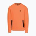 Herrenpullover Pitbull Dogwood Crewneck Sweatshirt fluo orange 4
