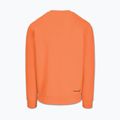 Herrenpullover Pitbull Dogwood Crewneck Sweatshirt fluo orange 5