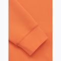 Herrenpullover Pitbull Dogwood Crewneck Sweatshirt fluo orange 10