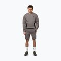 Herrenpullover Pitbull Dogwood Crewneck Sweatshirt taupe 2