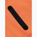 Herrenpullover Pitbull Dogwood Hooded Sweatshirt fluo orange 7