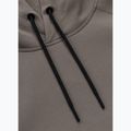 Herrenpullover Pitbull Dogwood Hooded Sweatshirt taupe 6