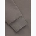 Herrenpullover Pitbull Dogwood Hooded Sweatshirt taupe 10