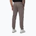 Herrenhose Pitbull Dogwood Track taupe 3