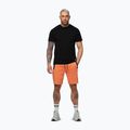 Herren-Shorts Pitbull Dogwood Sport fluo orange 2