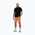 Herren-Shorts Pitbull Dogwood Sport fluo orange 4