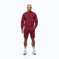 Herrenpullover Pitbull Sampson Crewneck Sweatshirt burgundy 2