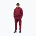 Herrenpullover Pitbull Sampson Hooded Sweatshirt burgundy 2