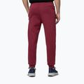Herrenhose Pitbull Sampson Track burgundy 3