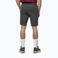 Herren-Shorts Pitbull Sampson grey/green 3
