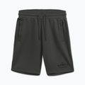 Herren-Shorts Pitbull Sampson grey/green 4