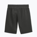 Herren-Shorts Pitbull Sampson grey/green 5