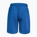 Herren-Shorts Pitbull Track Powers azure blue 4